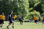 OTFL Gallery Image